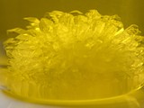 JF4A0675