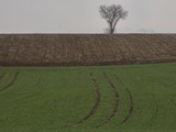 IMG_3267