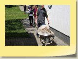 IMG_1379