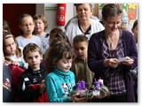IMG_0247
