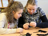 IMG_0854