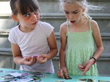 IMG_4381