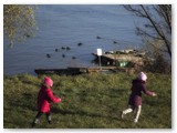 IMG_8080