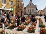 IMG_20190402_143217