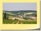 IMG_8280