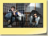 IMG_3237