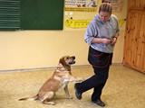 IMG_9086