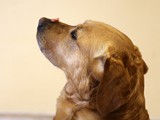 IMG_9095