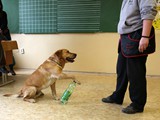 IMG_9114