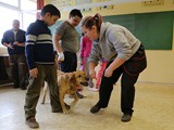 IMG_9121