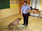 IMG_9125