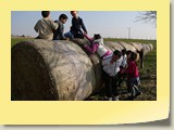 IMG_9252