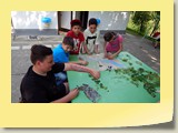 DSCN3001