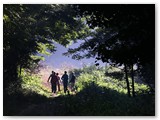 IMG_7873