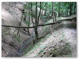 IMG_5391