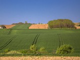 IMG_4479