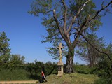 IMG_4513