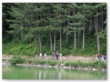 IMG_8285