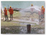 IMG_8341
