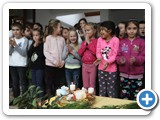 IMG_8442